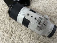 IMG_7884.jpeg