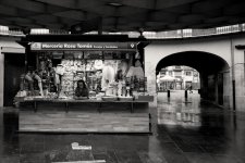 DSC00467-Editar copia.jpg