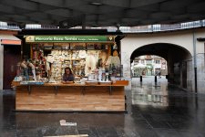 DSC00467-Editar.jpg