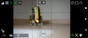 camoodoo_3.jpg