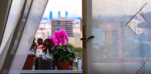 27112023-_DSC5883-5.jpg