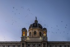 _DSF1261 ps03.jpg
