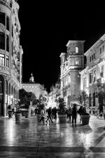 _7R35381.jpg