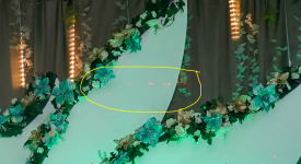 Image 1.png