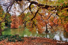 mini_DSC01287 (1).jpg
