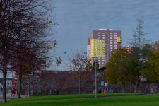 DSC07380-ARW.jpg