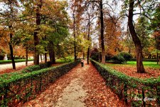 mini_DSC01273 (1).jpg