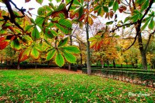 mini_DSC01272 (1).jpg