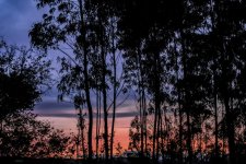 _DSF1807 ps02.jpg