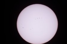 DSC00090_.jpg