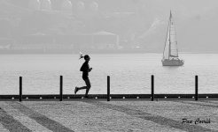 mini_DSC02795 (1).jpg