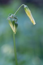 DSC00151_WEB.jpg