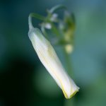 DSC00158_WEB.jpg