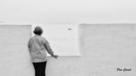 mini_DSC02201 (1) - copia - copia.jpg