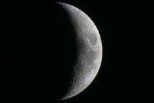 Luna DSC00584 (T).jpg