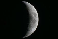 Luna DSC00584 (T).jpg Luna DSC00584 (T).jpg