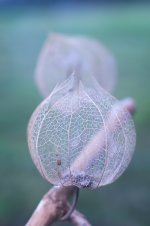 DSC00319_WEB.jpg