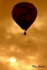 mini_DSC04559 - copia.JPG