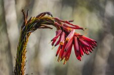DSC04204 ps02.jpg