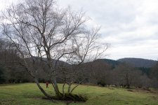 2024 01 13 Urkiola 017_Original_WEB.jpg