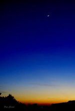 mini__DSC8751 (2).jpg