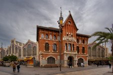 26022024-DSC01787.jpg