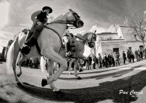 mini_DSC05118.jpg