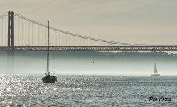 mini_DSC01443 (1).jpg