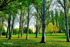 mini_DSC07046 (1).jpg