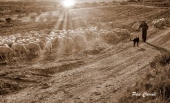 mini_DSC07679 (1).jpg