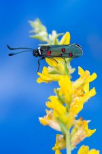 _MGC7227-Mejorado-NR.jpg