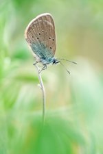 _MGC7325-Mejorado-NR.jpg
