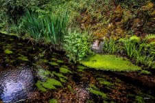 DSC01989 ps05.jpg