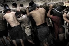 Festa de l´arbret.jpg