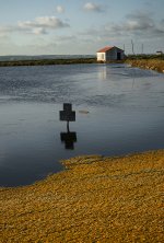 Salinas Santa Pola.jpg