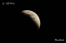 DSC01941 - 3.JPG