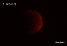 DSC01949 -7 - copia (1).jpg