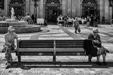 22032024-R0001587-Editar.jpg