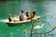thumbnail_A065_Planta i barca.jpg.jpg