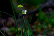 RTC06387R.jpg