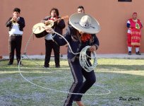 mini_DSC04875.JPG