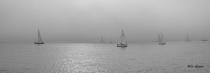 DSC02585.JPG