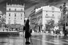 25042024-DSC02646-Editar.jpg