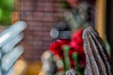 21052024-DSC03112-Editar.jpg