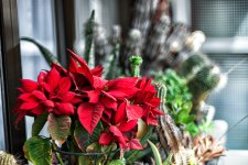 21052024-DSC03111-Editar.jpg