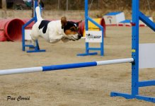 mini_DSC02893.JPG