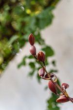 _JDP1190700x1050.jpg