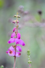 DSC01535-Editar_WEB.jpg