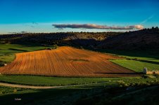 DSC04686 ps02.jpg