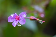 DSC01806_WEB.jpg